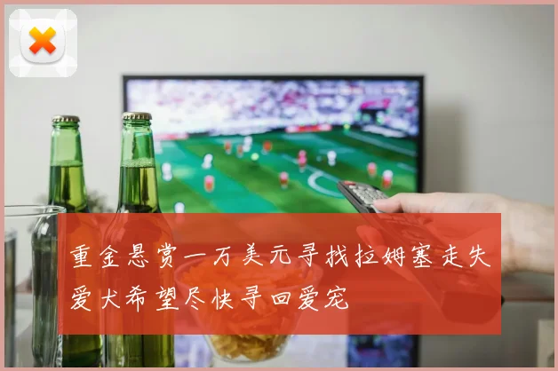 重金悬赏一万美元寻找拉姆塞走失爱犬希望尽快寻回爱宠