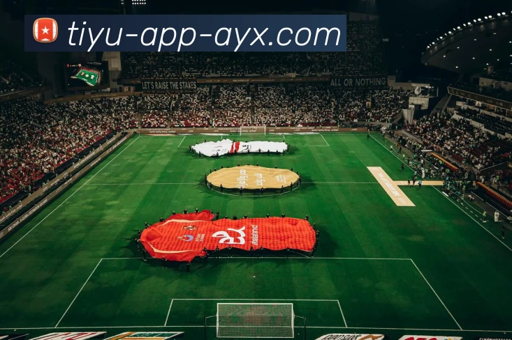 爱游戏发展历程